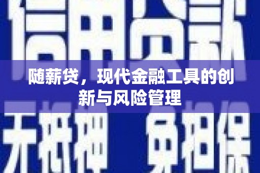 三重随薪贷，现代金融工具的创新与风险管理