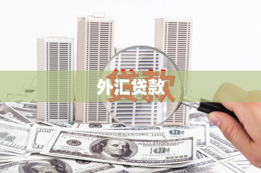 三重外汇贷款