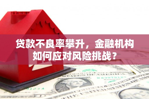 三重贷款不良率攀升，金融机构如何应对风险挑战？