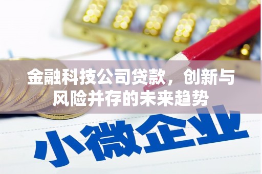 三重金融科技公司贷款，创新与风险并存的未来趋势