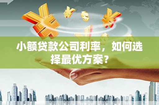 三重小额贷款公司利率，如何选择最优方案？