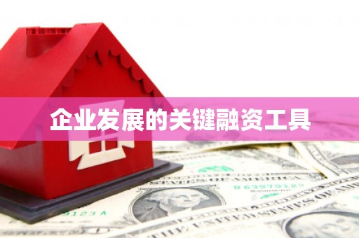 三重企业发展的关键融资工具