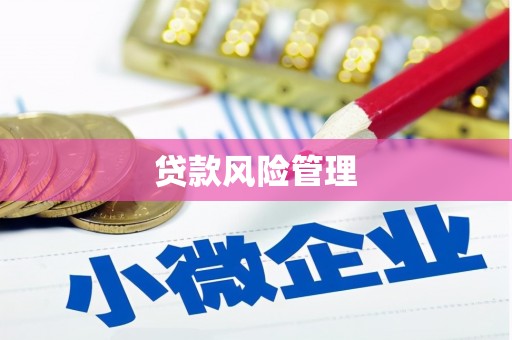三重贷款风险管理