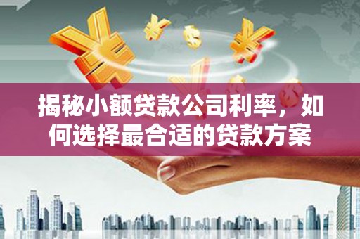 三重揭秘小额贷款公司利率，如何选择最合适的贷款方案