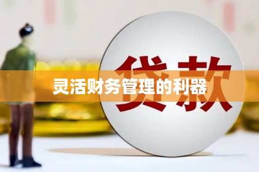 三重灵活财务管理的利器
